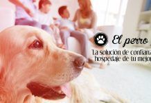 La primera empresa española de cuidadores de mascotas profesionales, franquicia su modelo de negocio